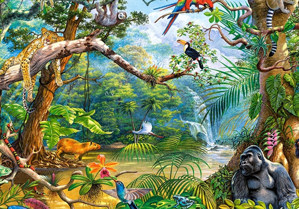 Литературно-творческое занятие «Кто краше всех в джунглях?»